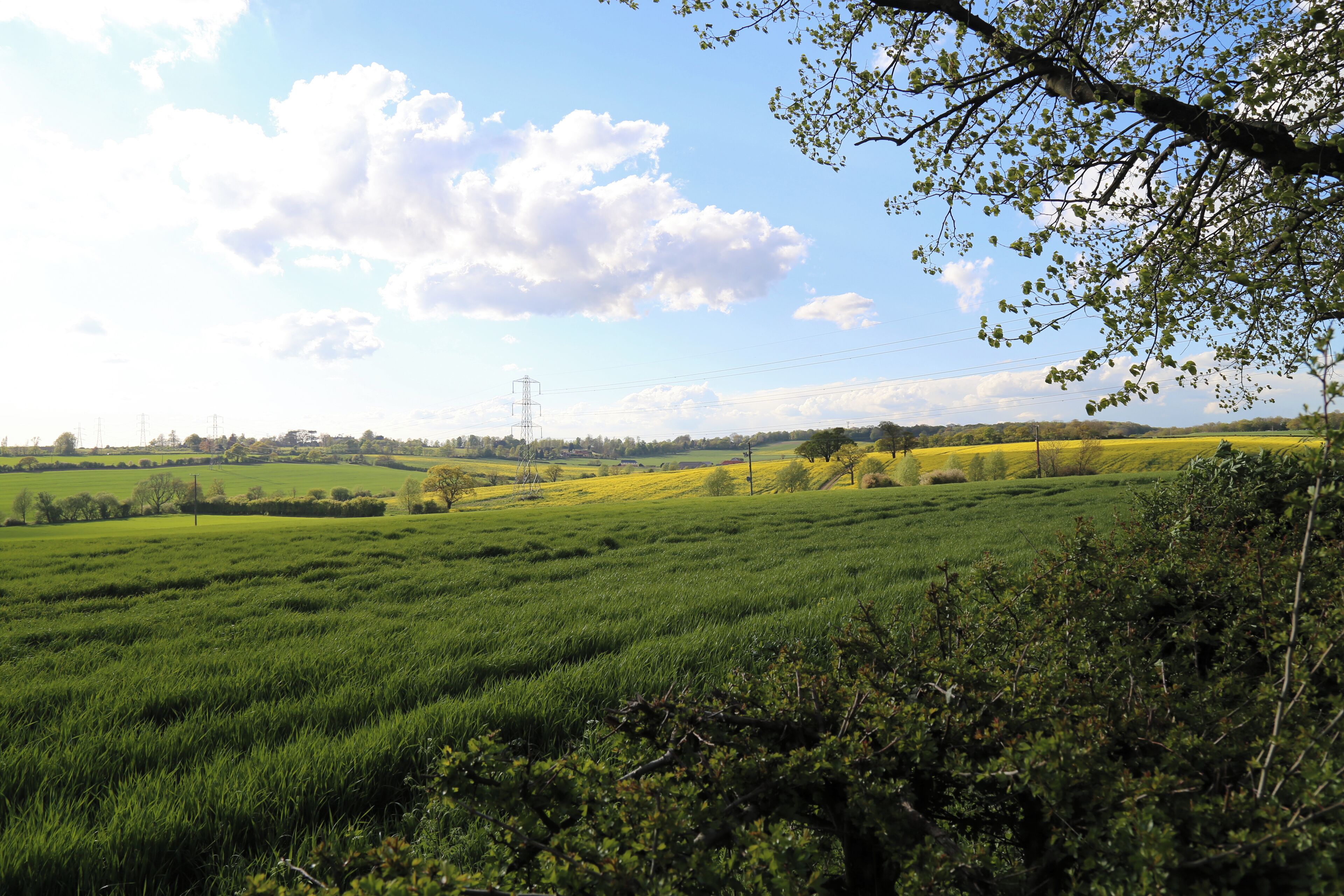 Fields looking north-west from churchyard, Stapleford Tawney, Essex, England