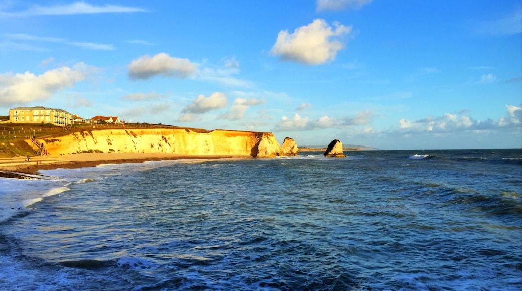 The beach at freshwater.