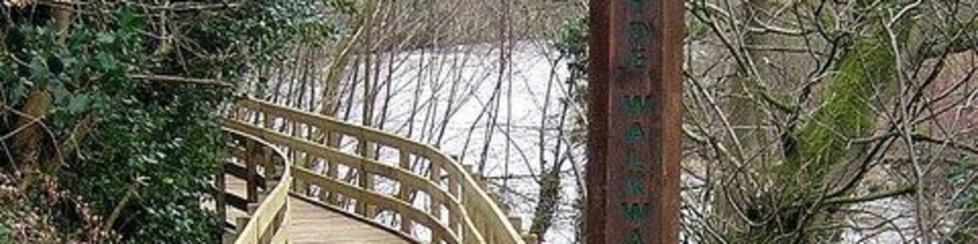 Clyde Walkway Near Crossford. New section of Clyde Walkway north of Crossford