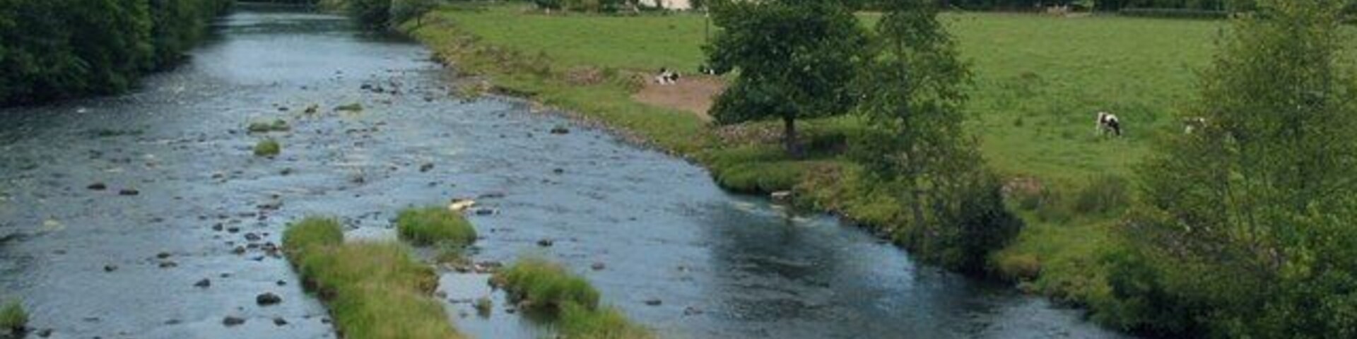 River Clyde at Crossford. This is a similar view to 119818, and it was taken from the same place, but it shows the other bank of the river. The building in the distance is Holmfoot House.