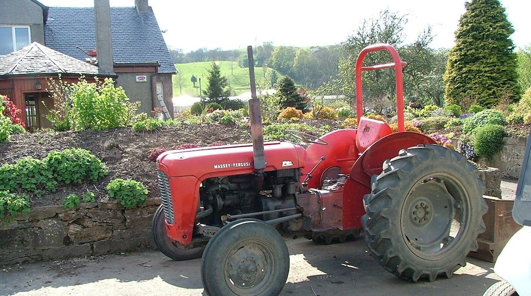 Massey Ferguson 35.