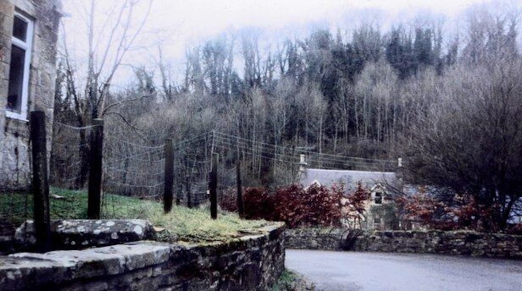 Gowanglen & orchard country, Crossford