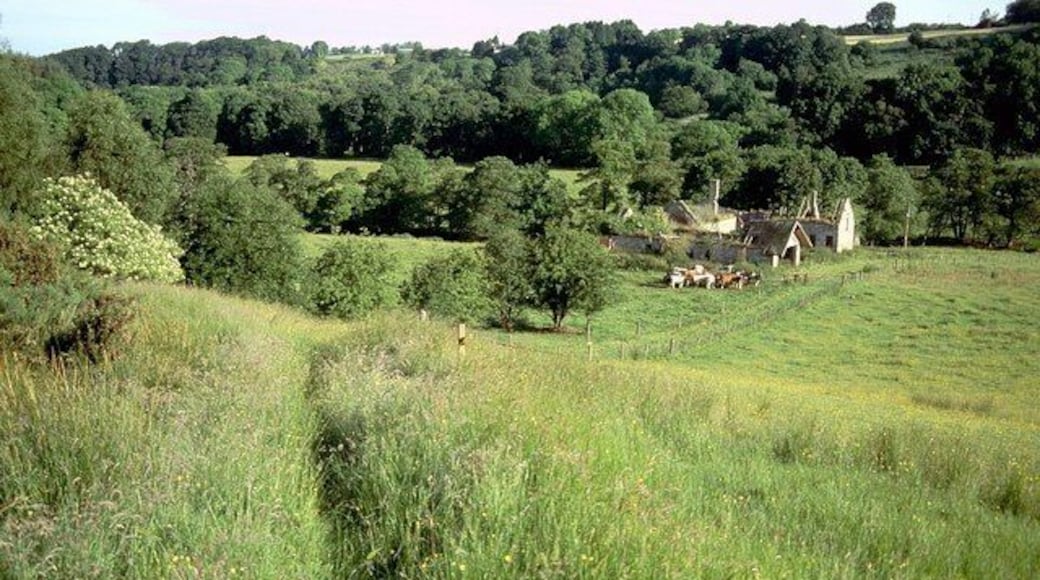 Auchenglen. The ruins of the farm also seen in 1416009, from the path up Auchenglen Hill. The farm is in the Auchenglen Burn valley, but the rising ground beyond is across the much larger Fiddler Burn.