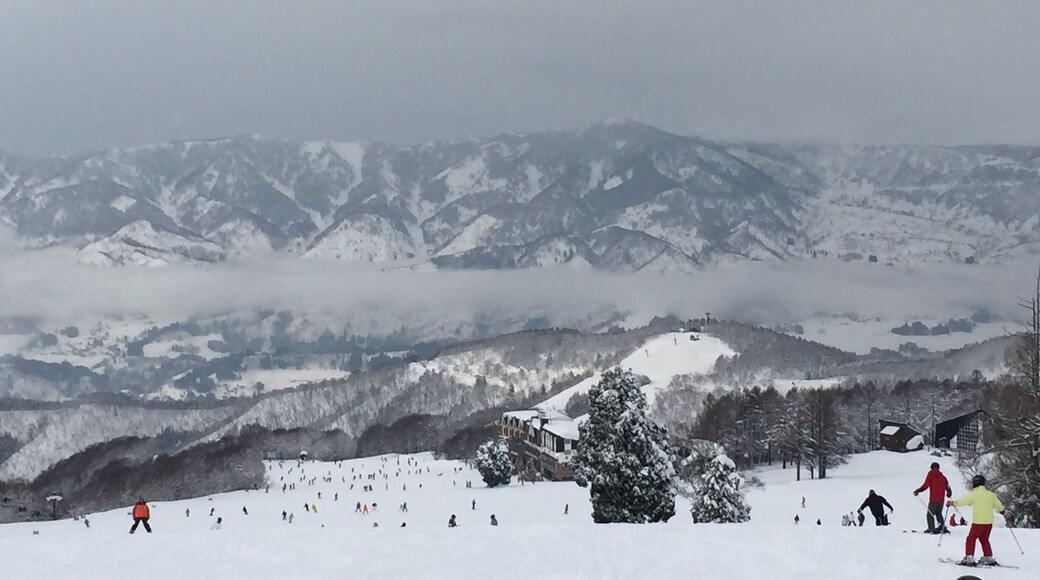 Snowboarding into 2015 :)
No snow, no life!