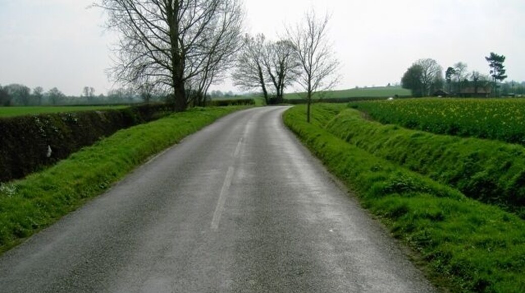 Road out of Campton