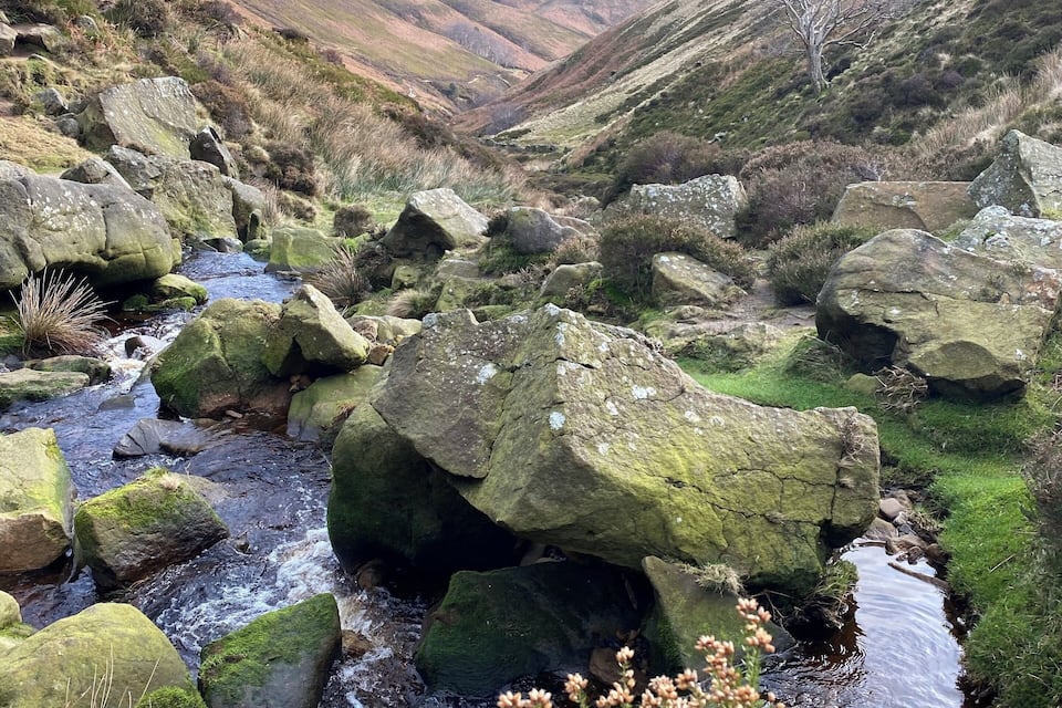 A rocky stream in a valley with moss-covered stones and sparse vegetation.