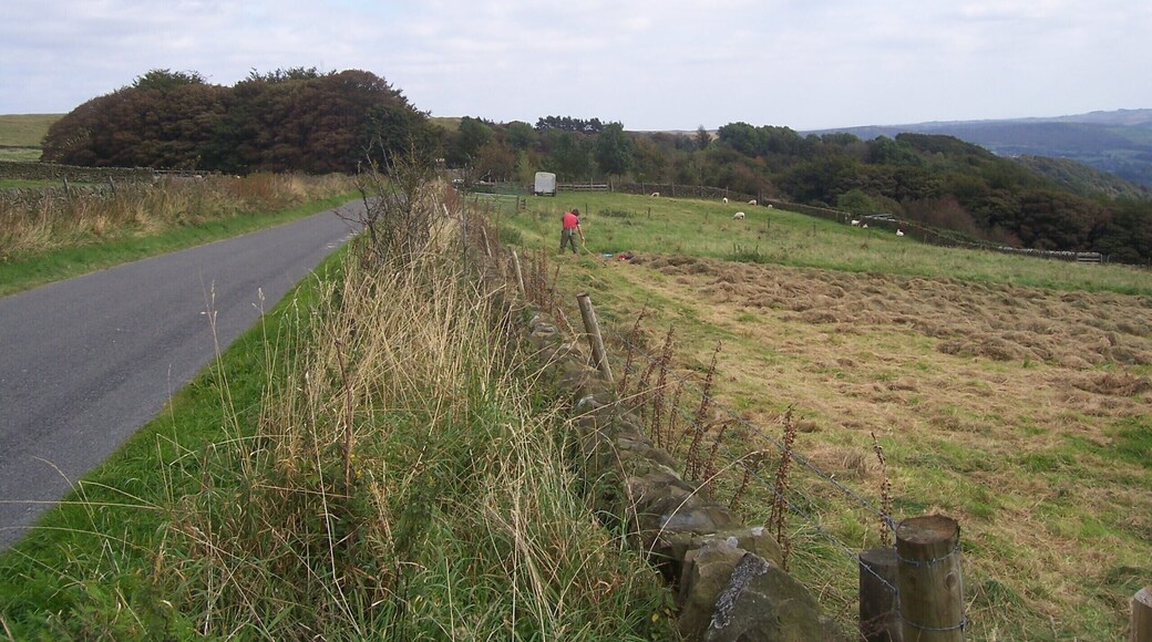 Traditional haymaking near Highcliffe