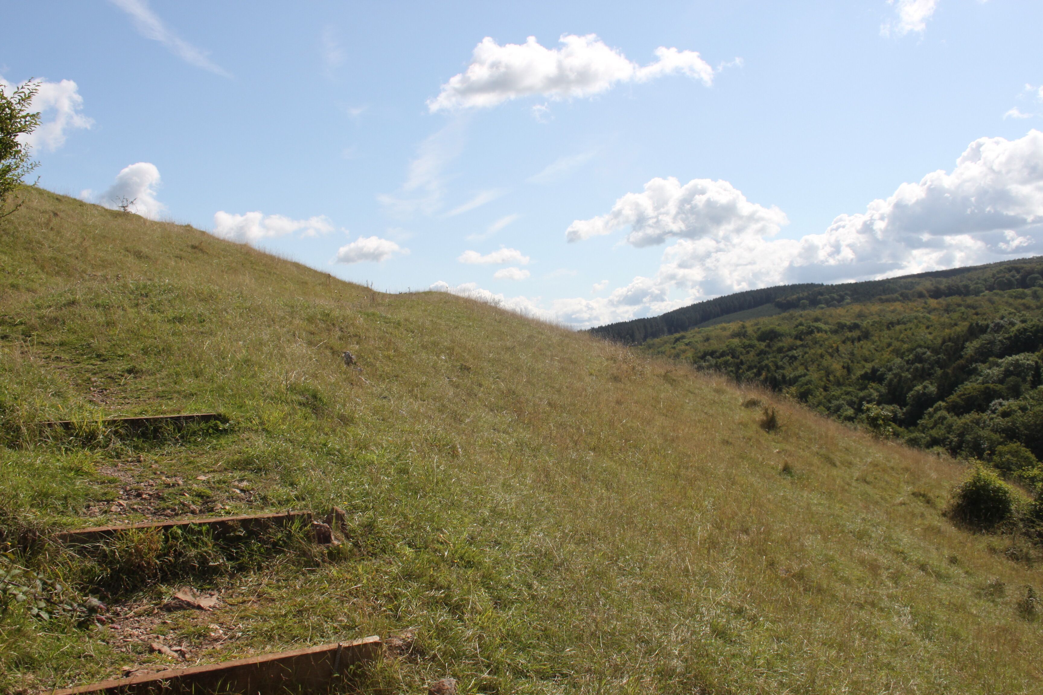 Dolebury Camp: a large univallate hillfort and associated and later earthworks on Dolebury Warren