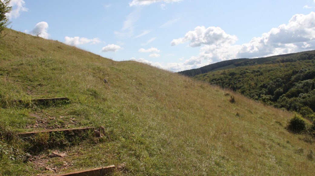 Dolebury Camp: a large univallate hillfort and associated and later earthworks on Dolebury Warren