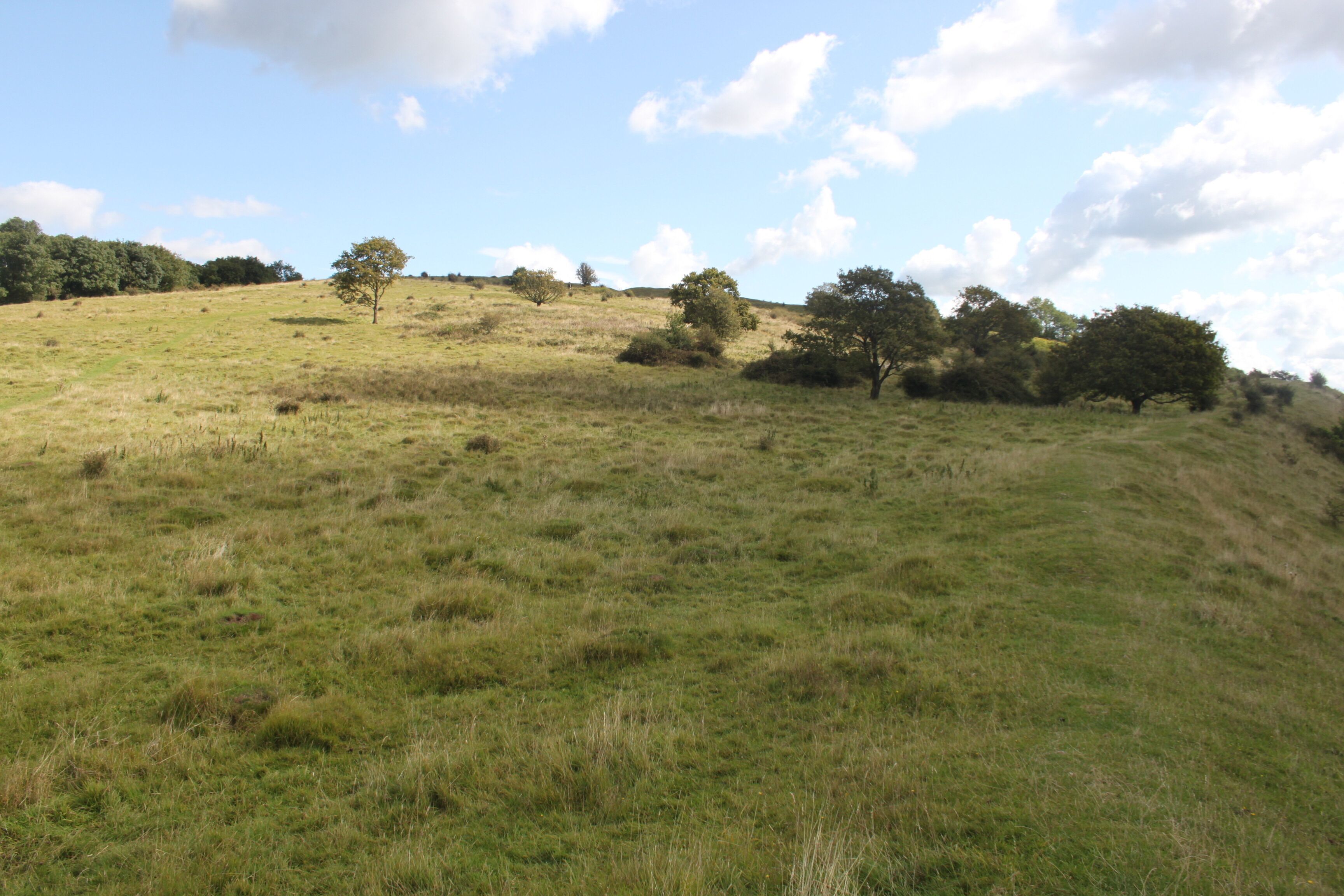 Dolebury Camp: a large univallate hillfort and associated and later earthworks on Dolebury Warren