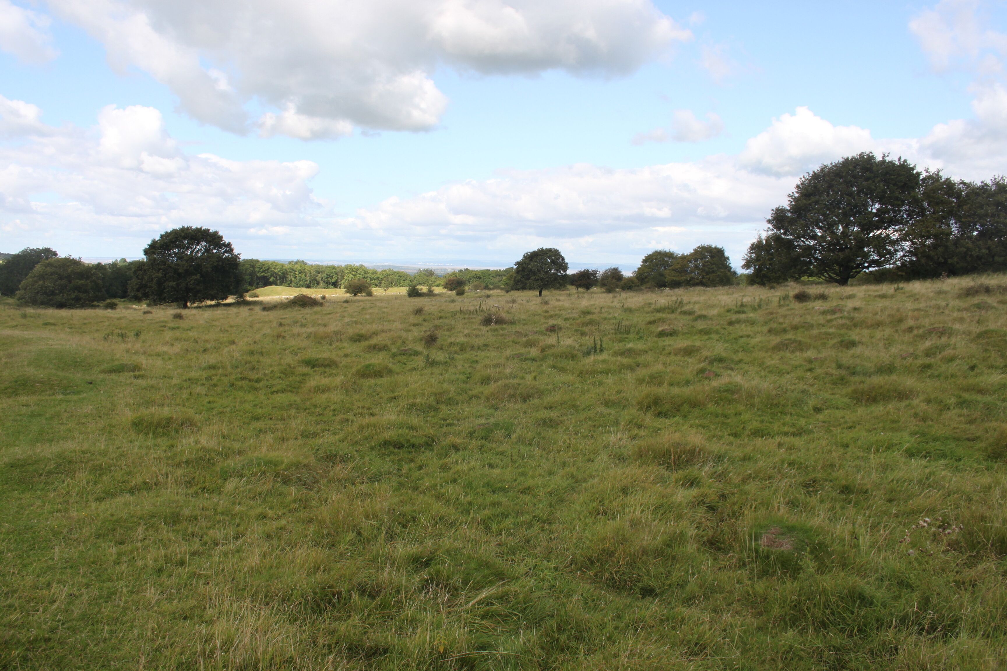 Dolebury Camp: a large univallate hillfort and associated and later earthworks on Dolebury Warren