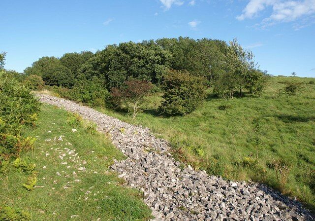 A gravel path winding through a grassy hillside with dense trees in the background.