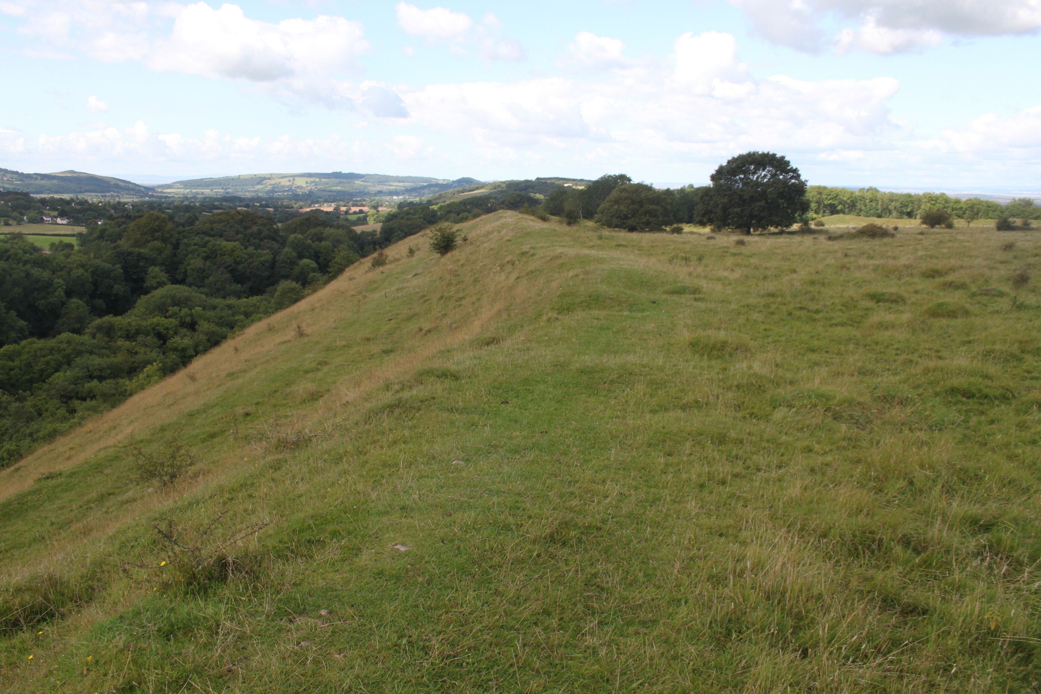 Dolebury Camp: a large univallate hillfort and associated and later earthworks on Dolebury Warren