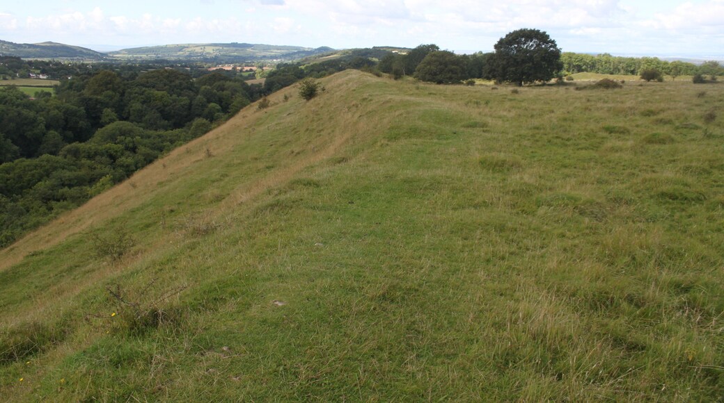 Dolebury Camp: a large univallate hillfort and associated and later earthworks on Dolebury Warren