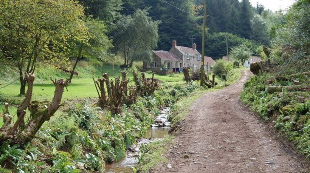 In Rowberrow Bottom, Shipham, Mendips