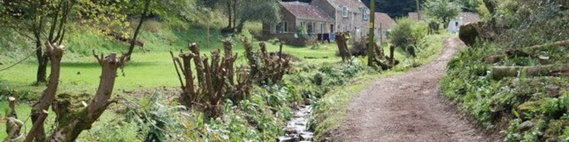 In Rowberrow Bottom, Shipham, Mendips