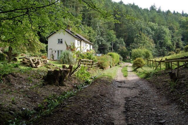 In Rowberrow Bottom, Shipham, Mendips
