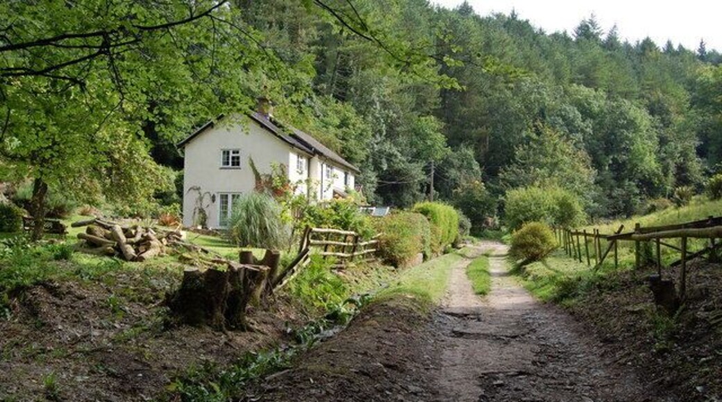 In Rowberrow Bottom, Shipham, Mendips