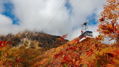 Scenic view a cable car flying over the colorful autumn valley of Tateyama Kurobe Alpine Route, Japan ~ Beautiful scenery of fall foliage and majestic mountains in Japan
