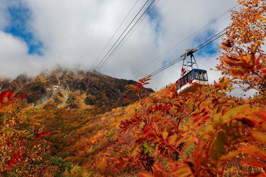 Scenic view a cable car flying over the colorful autumn valley of Tateyama Kurobe Alpine Route, Japan ~ Beautiful scenery of fall foliage and majestic mountains in Japan