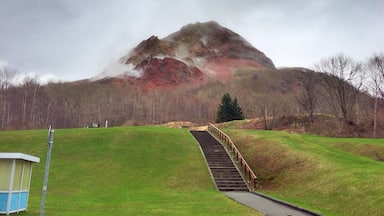 Una montaña con una escalera que asciende, rodeada de césped y árboles.