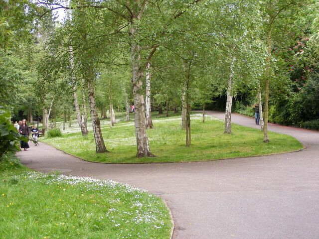 Park Paths Kelsey Park near Beckenham.