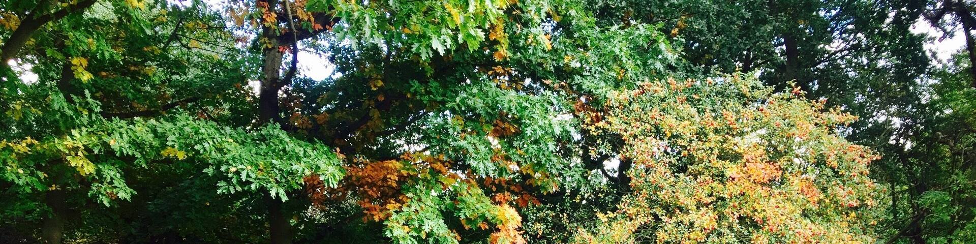 A statue for the animal of English parks