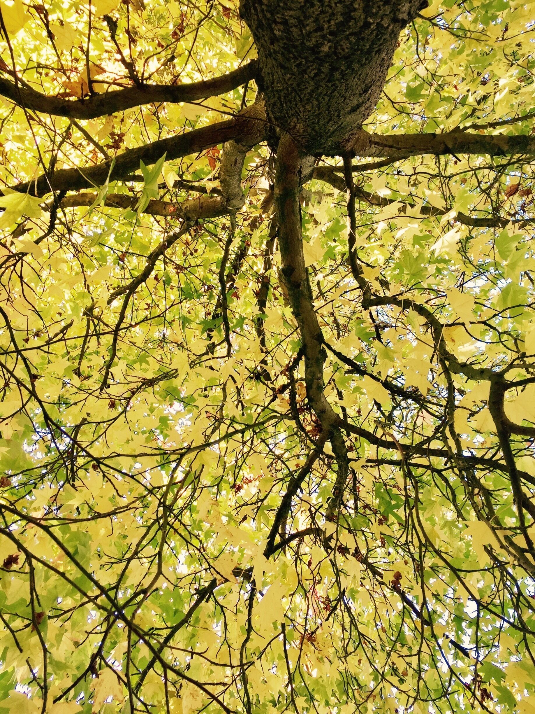 Autumn is in the air