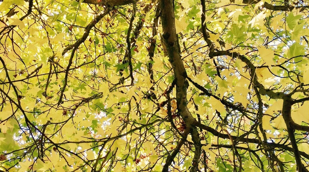 Autumn is in the air