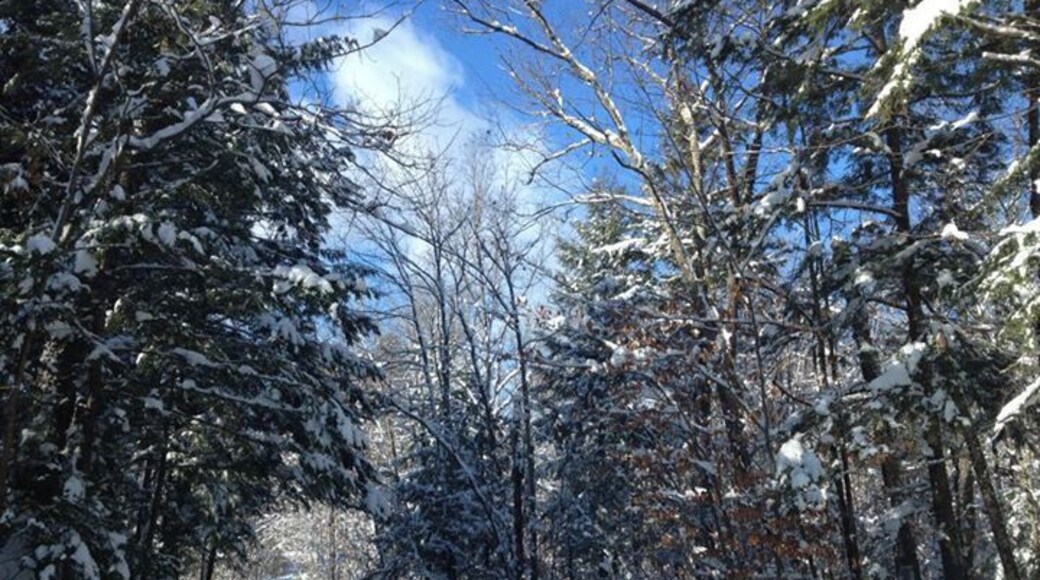 What a difference a little sun makes.