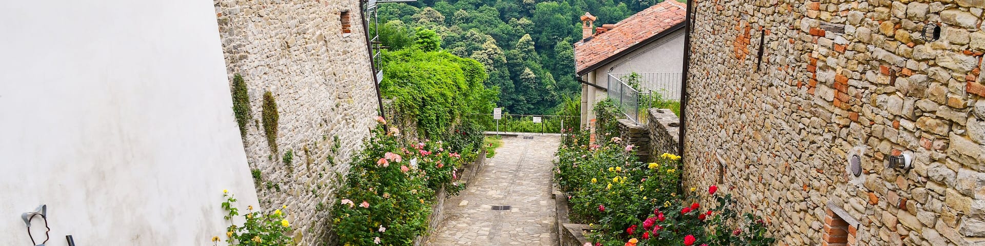 High angle view of a narrow alley in the medieval village of Bossolasco in the Langhe area of Piedmont with the typical stone buildings and rose plants in bloom in summer, Cuneo, Italy