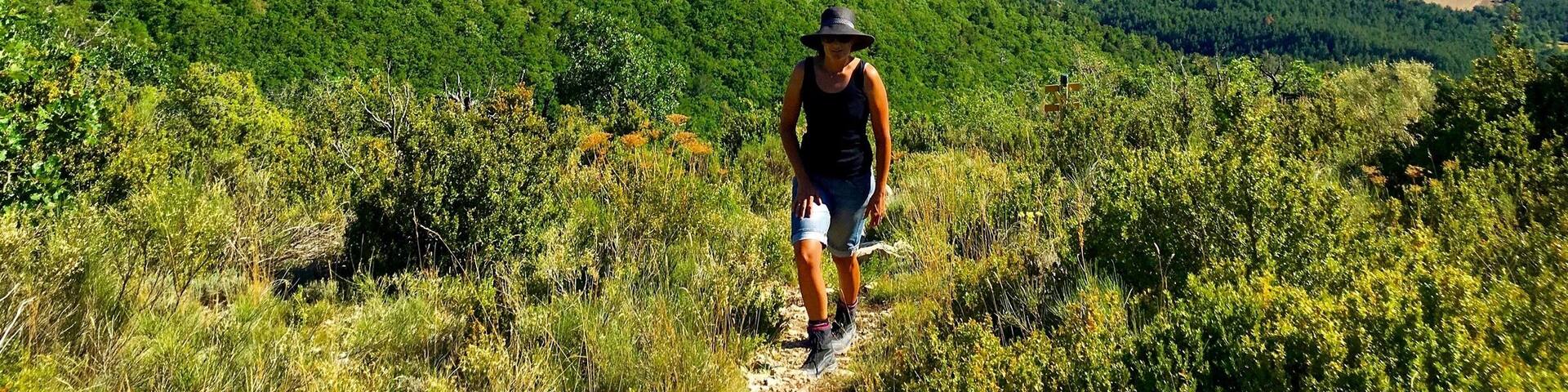 The fusion of landscapes where the French Alps meet Provence is something special. Ancient rocky outcrops rise out of the ground offering breath-taking views of the patchwork fields below. An abundance of walk trails wind through the region but are not for the faint-hearted. Often relentlessly steep and remote, a bit of pre-planning and plenty of time to explore would be advantageous.