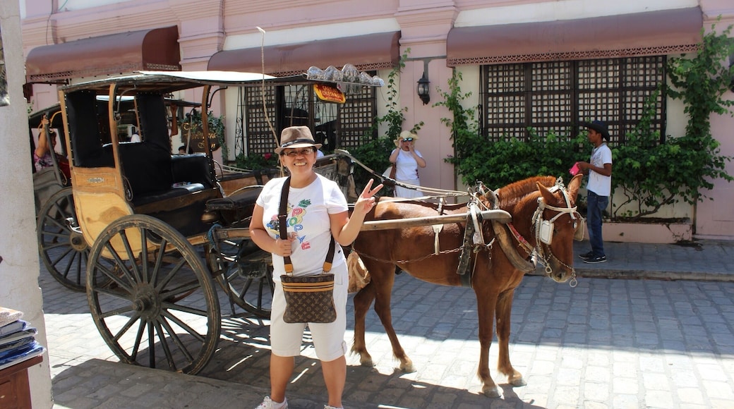 Imagine life then when going to other places or moving things can only be done through this mode of transportation! Posing with this brought me back to that time!