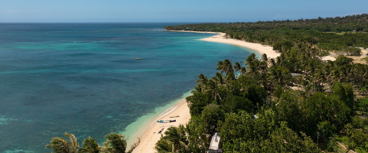 A tropical beach with clear turquoise waters, a sandy shore, and dense palm trees.