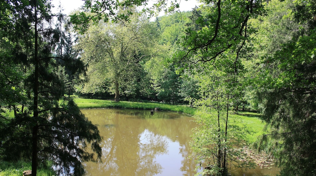 Süd Harz Wanderung um Sülzhayn Park am Hotel zum Entspannen