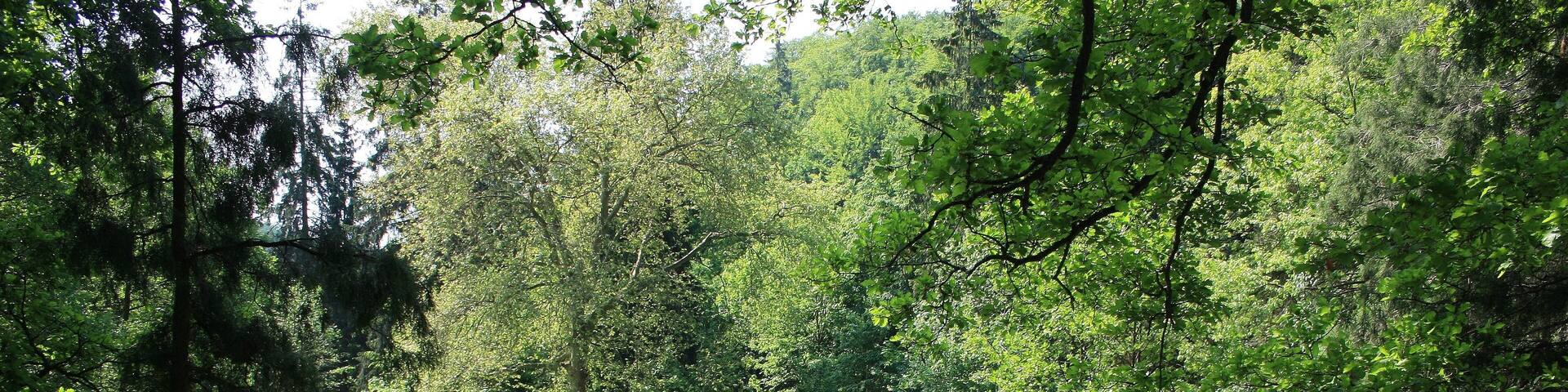 Süd Harz Wanderung um Sülzhayn Park am Hotel zum Entspannen