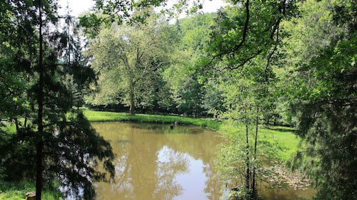 Süd Harz Wanderung um Sülzhayn Park am Hotel zum Entspannen