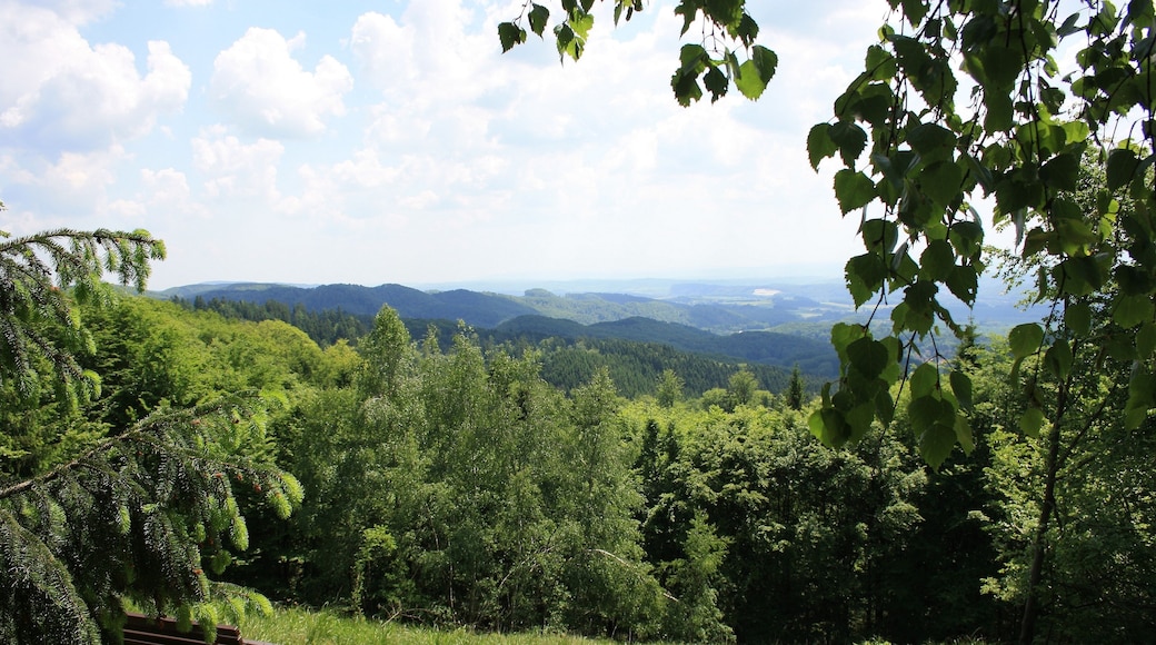 Süd Harz Wanderung um Sülzhayn Auf dem Kammweg - "Kleiner Rennsteig" ohne Massen von Menschen - der Sülzhaynblick