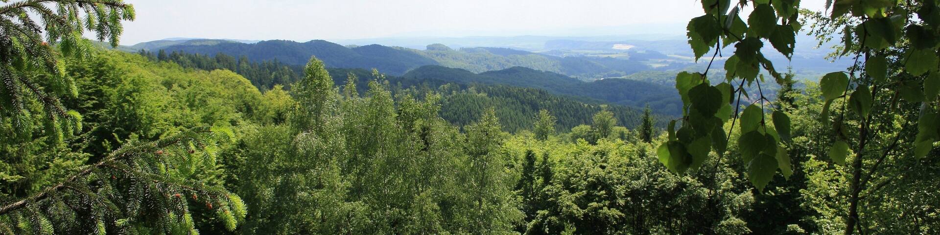 Süd Harz Wanderung um Sülzhayn Auf dem Kammweg - "Kleiner Rennsteig" ohne Massen von Menschen - der Sülzhaynblick