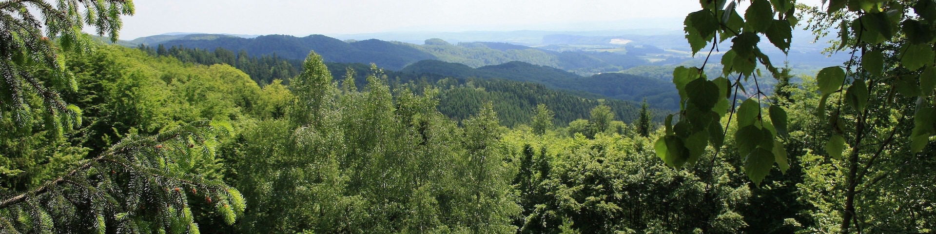 Süd Harz Wanderung um Sülzhayn Auf dem Kammweg - "Kleiner Rennsteig" ohne Massen von Menschen - der Sülzhaynblick