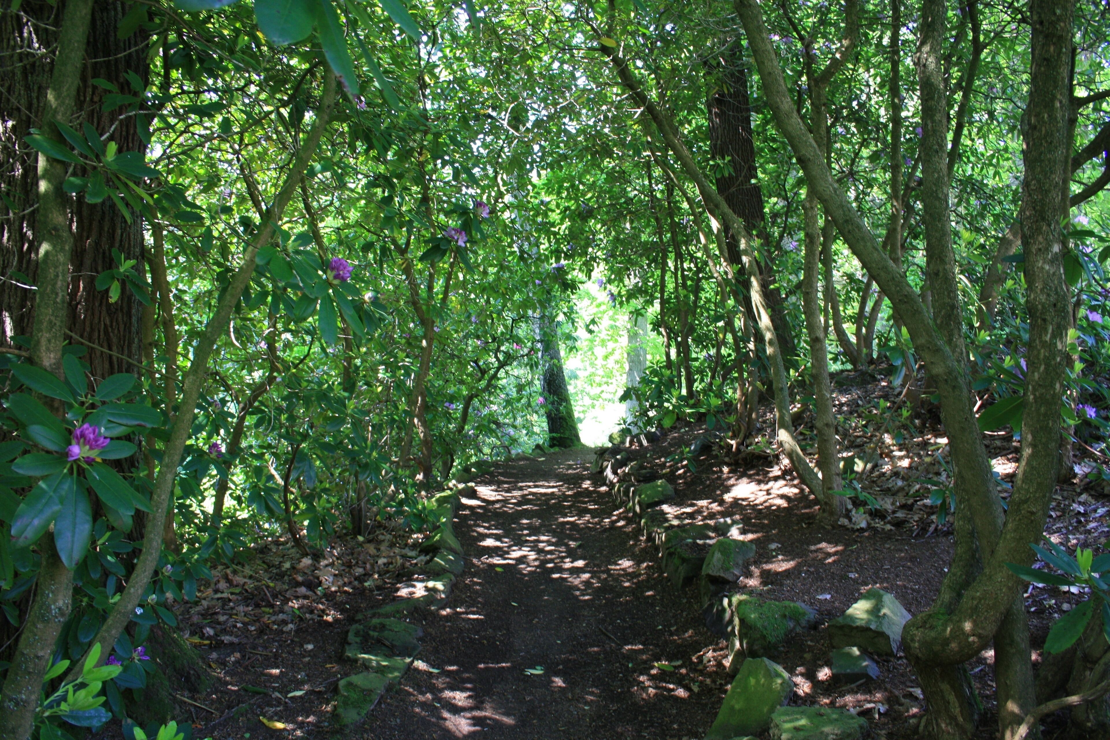 Süd Harz Wanderung um Sülzhayn Parkanlage am Hotel