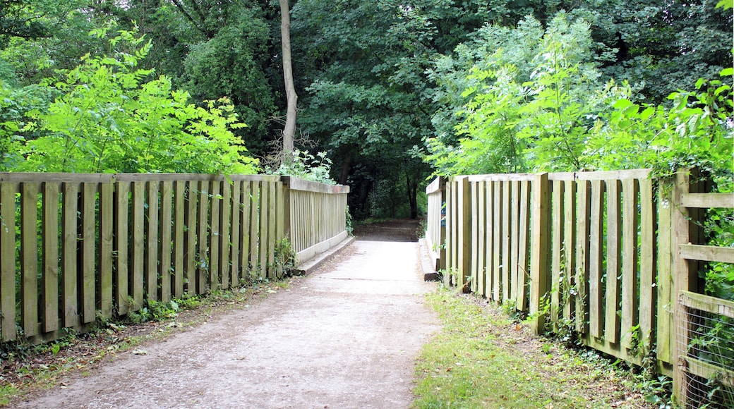 View west across the top of the bridge.