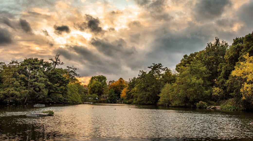 Boxer's Lake in London Borough of Enfield