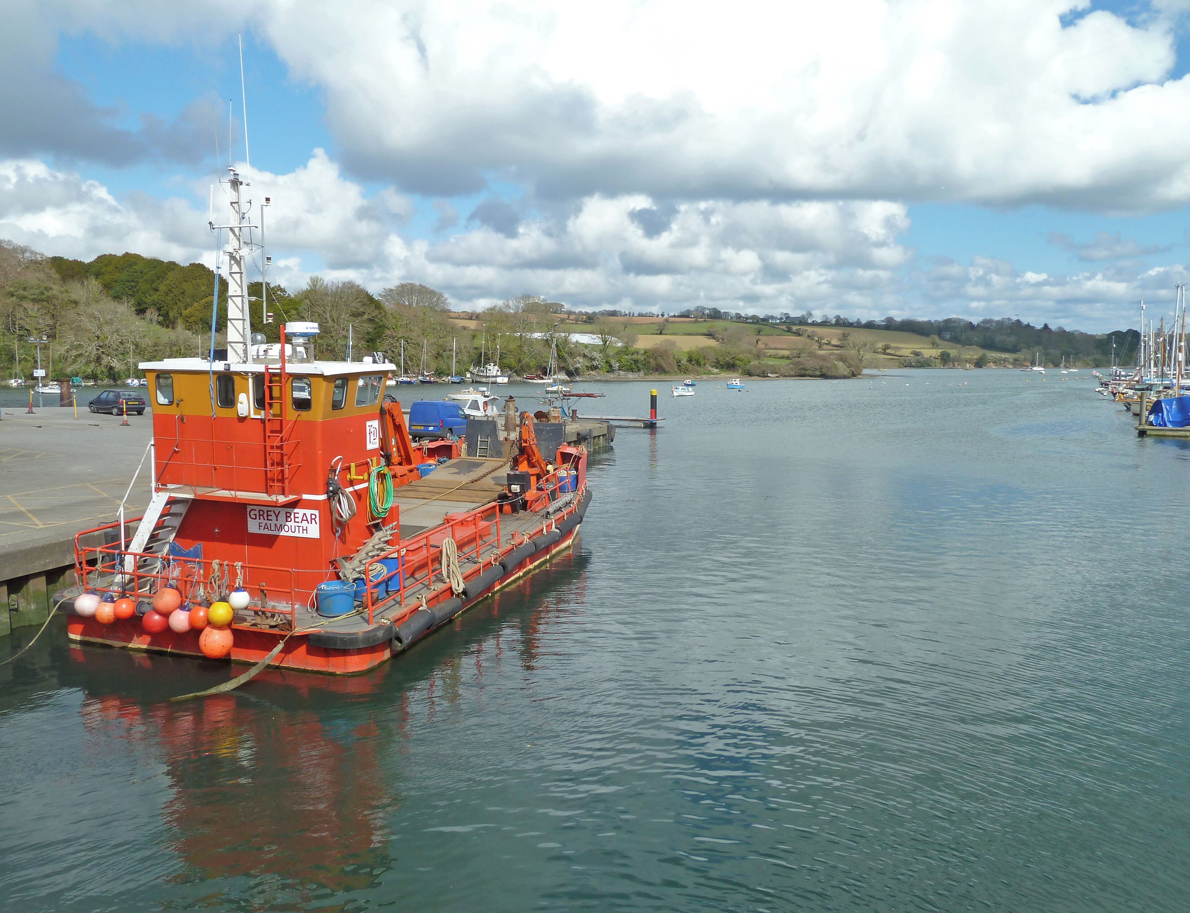 Grey Bear, at Penryn