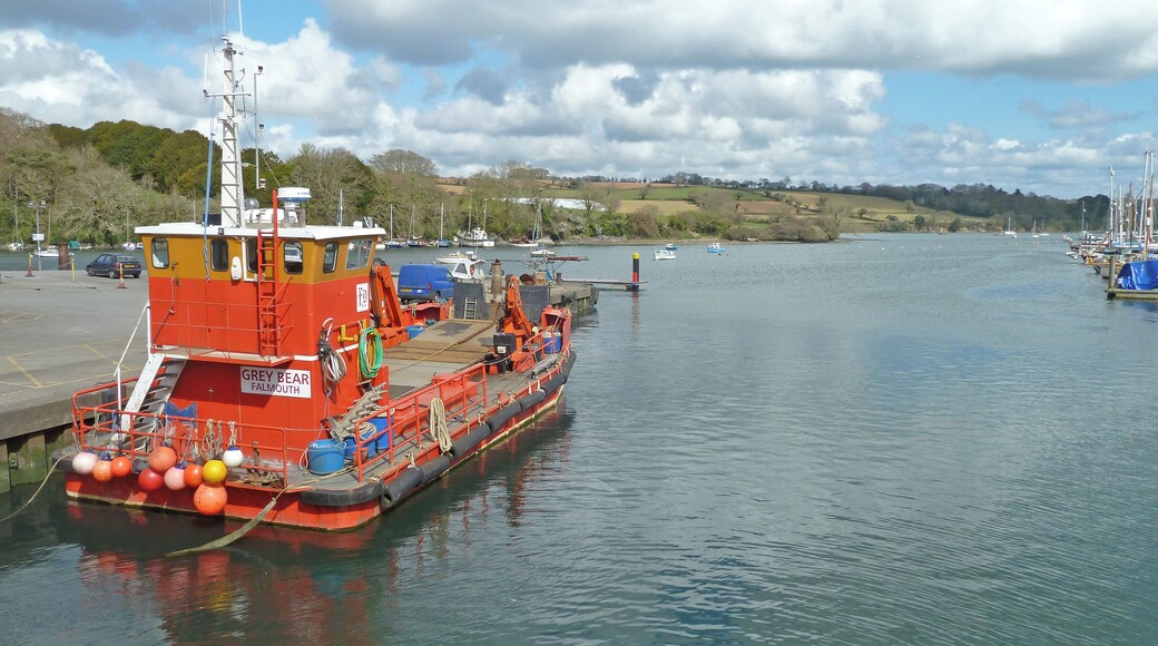 Grey Bear, at Penryn
