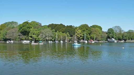View from Penryn Quay