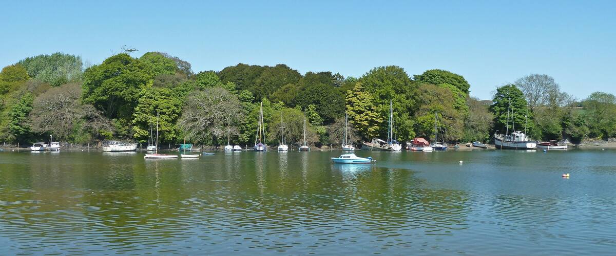 A calm lake with several boats docked along the shore, surrounded by dense green trees.