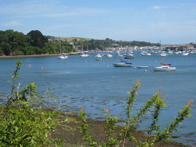 A harbor with numerous boats, a coastline with greenery, and a distant town.