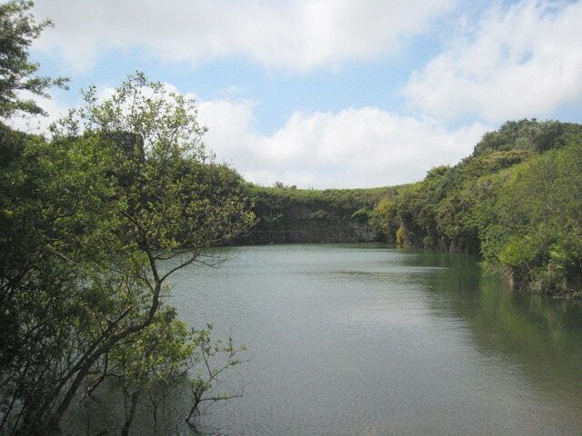 Un lago tranquilo rodeado de abundante follaje verde y colinas.