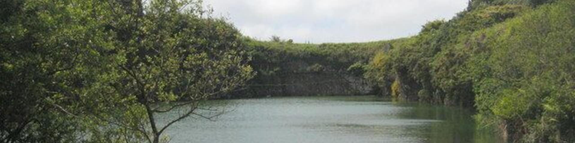 Un lago tranquilo rodeado de abundante follaje verde y colinas.